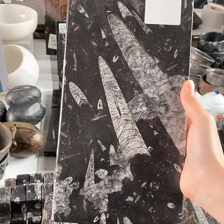 黄***生角石化石茶盘干泡台