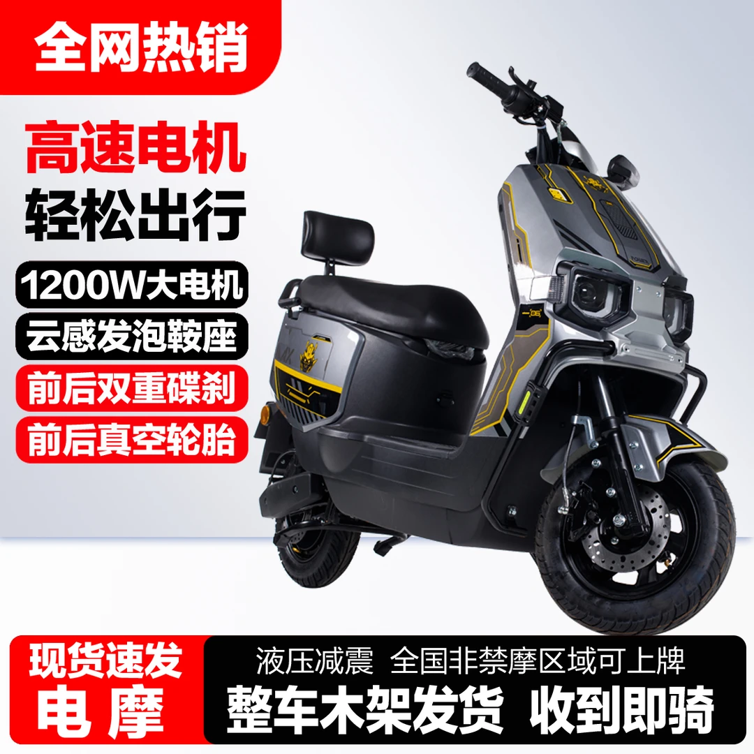 飞野【工厂直发】新款电动摩托车便捷大功率超长续航时尚电摩苍穹ZK