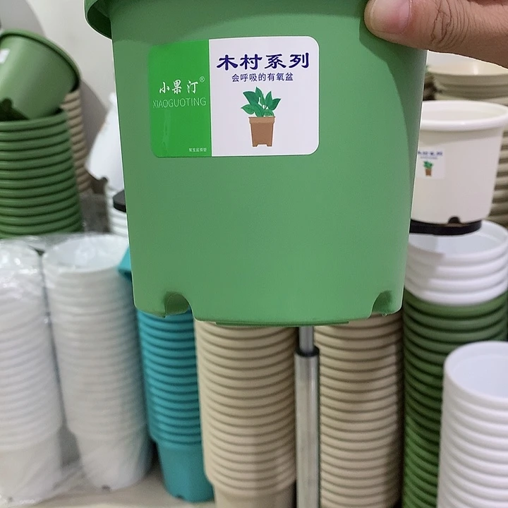 小果汀17口绿5个无托