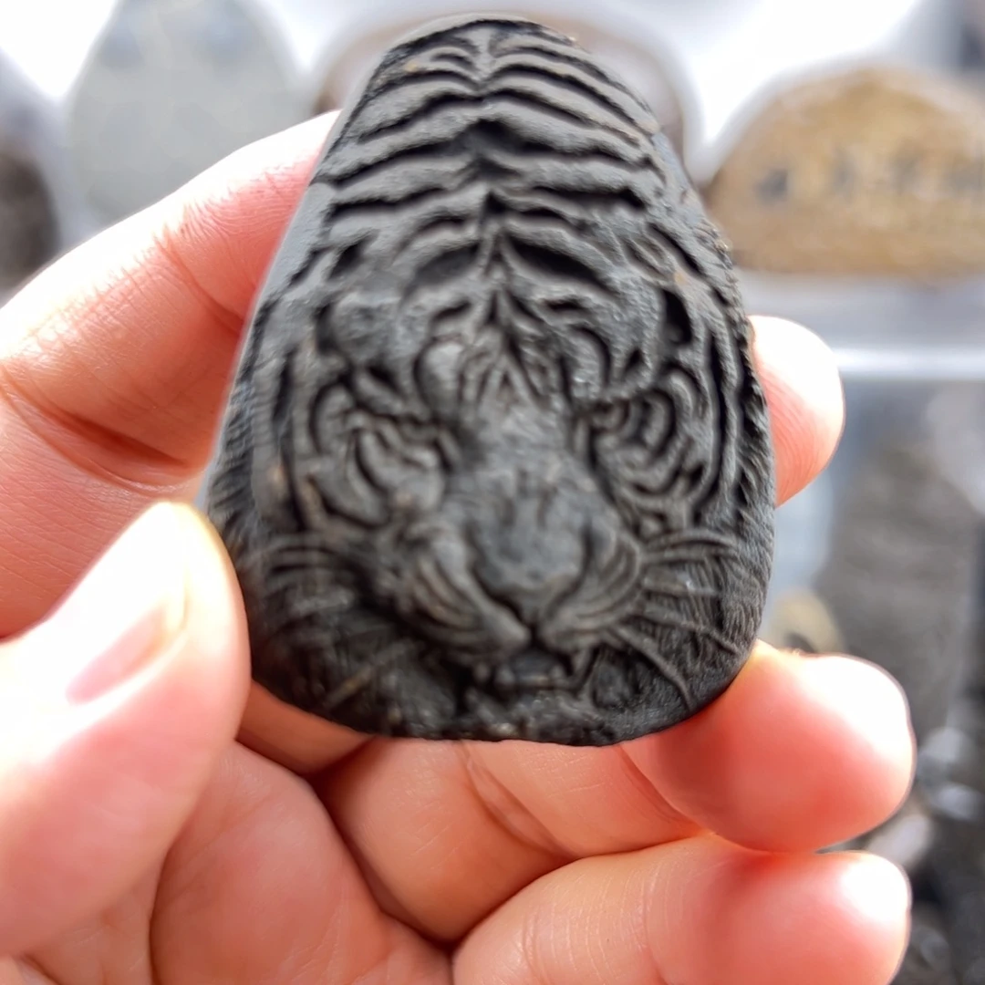 老***西看看看看看看看看看