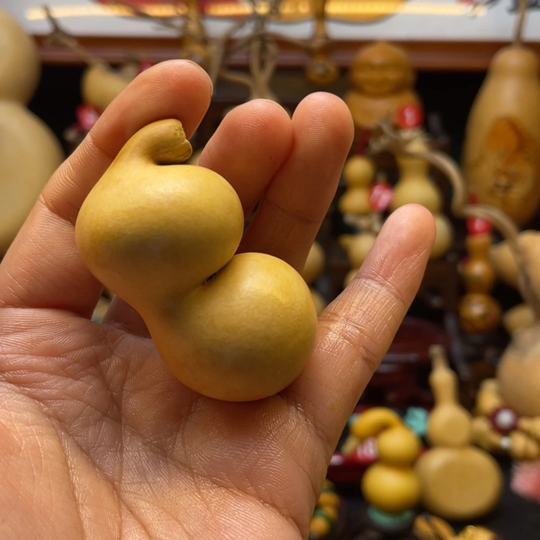 邱**?葫芦笙等多种乐器的演奏技巧与技巧等