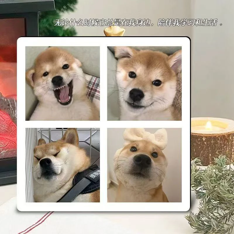家居宠物陪伴纪念相框相册狗狗猫咪相框打印放大宠物相册