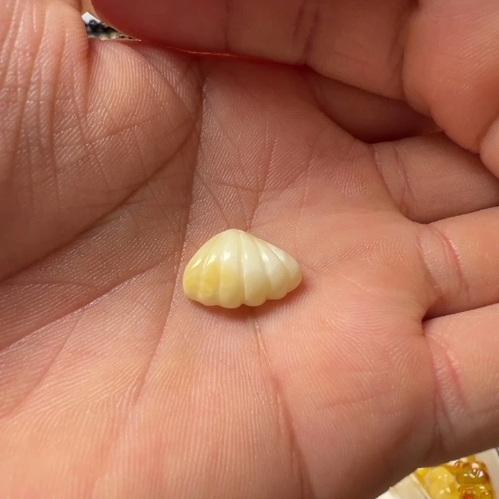 未镶嵌颈饰琥珀天然蜜蜡扇贝提溜吊坠