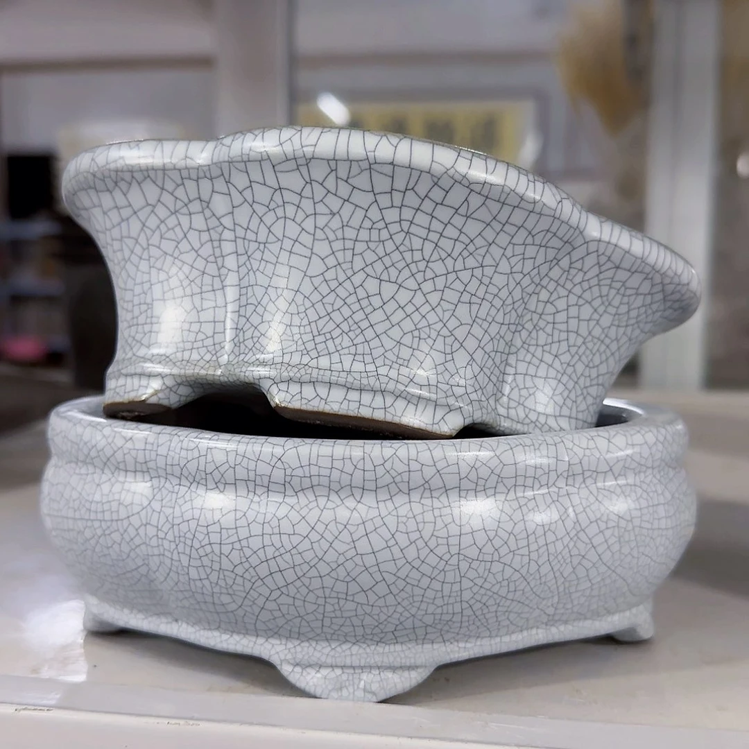 陶瓷花盆特价上新