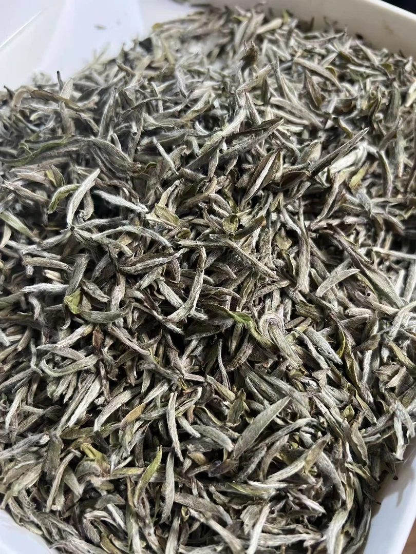 蜜香银针（2023）磻溪白茶