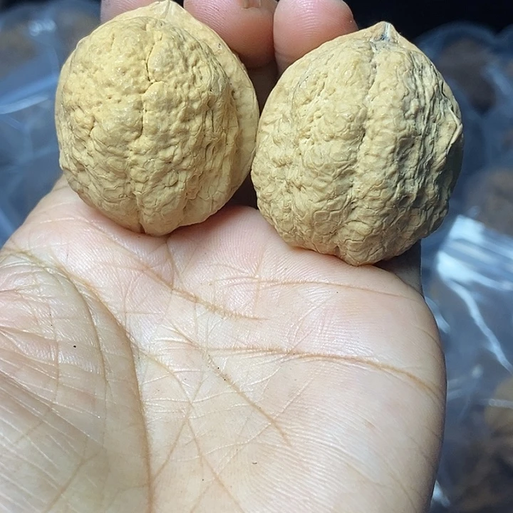 把件文玩核桃云南铁核桃基地65