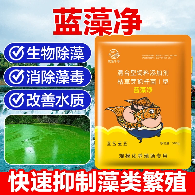 蓝藻净生物除藻不倒藻不耗氧水产养殖鱼塘蓝藻抑制不残留藻毒素