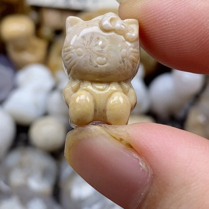 颈饰未镶嵌硅化珊瑚（珊瑚玉）小