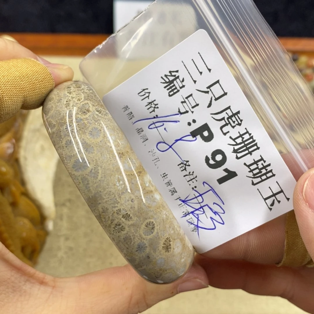 硅化珊瑚（珊瑚玉）1未镶嵌九*狐