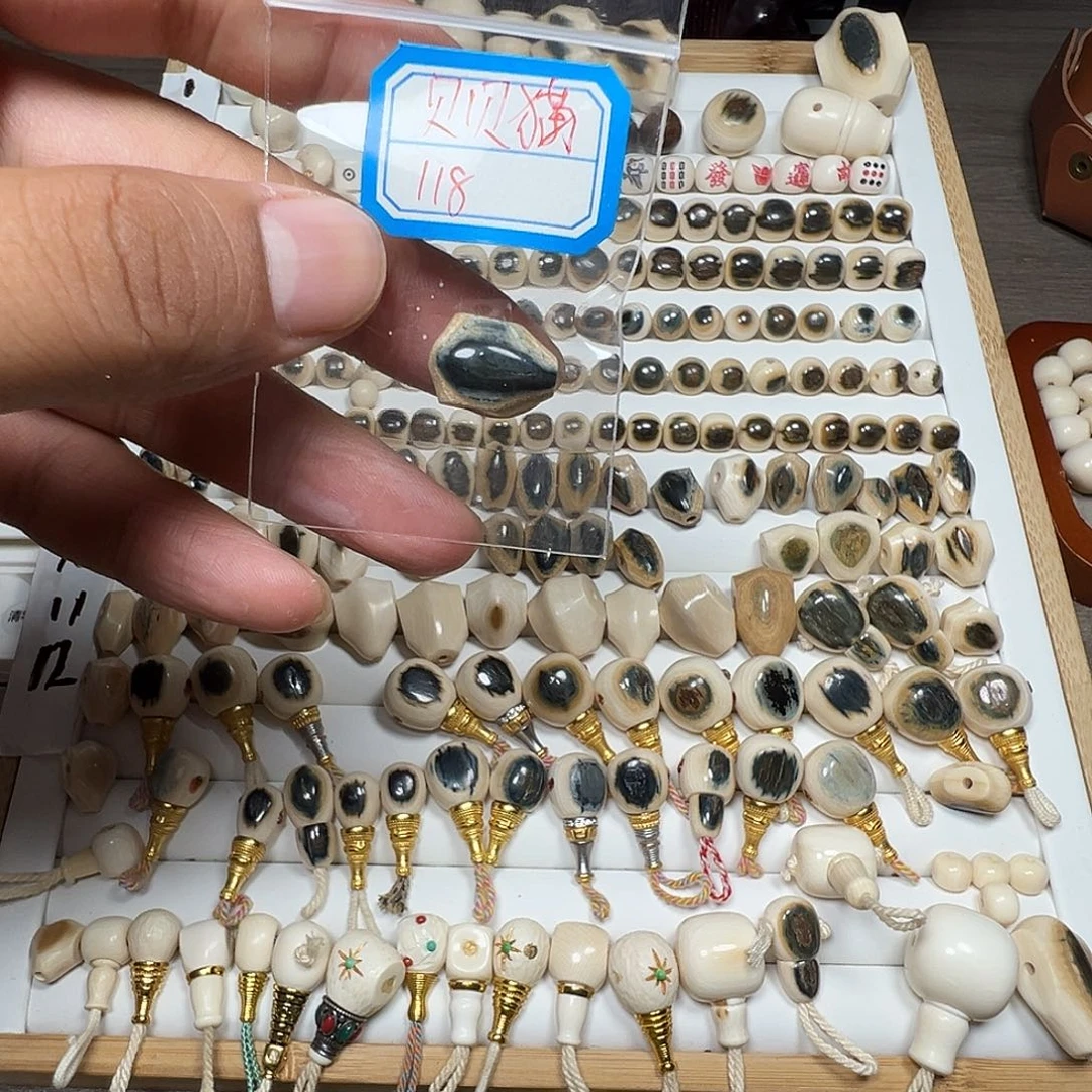 真丝其他贝*喵贝猛犸牙蓝皮鲨鱼呗