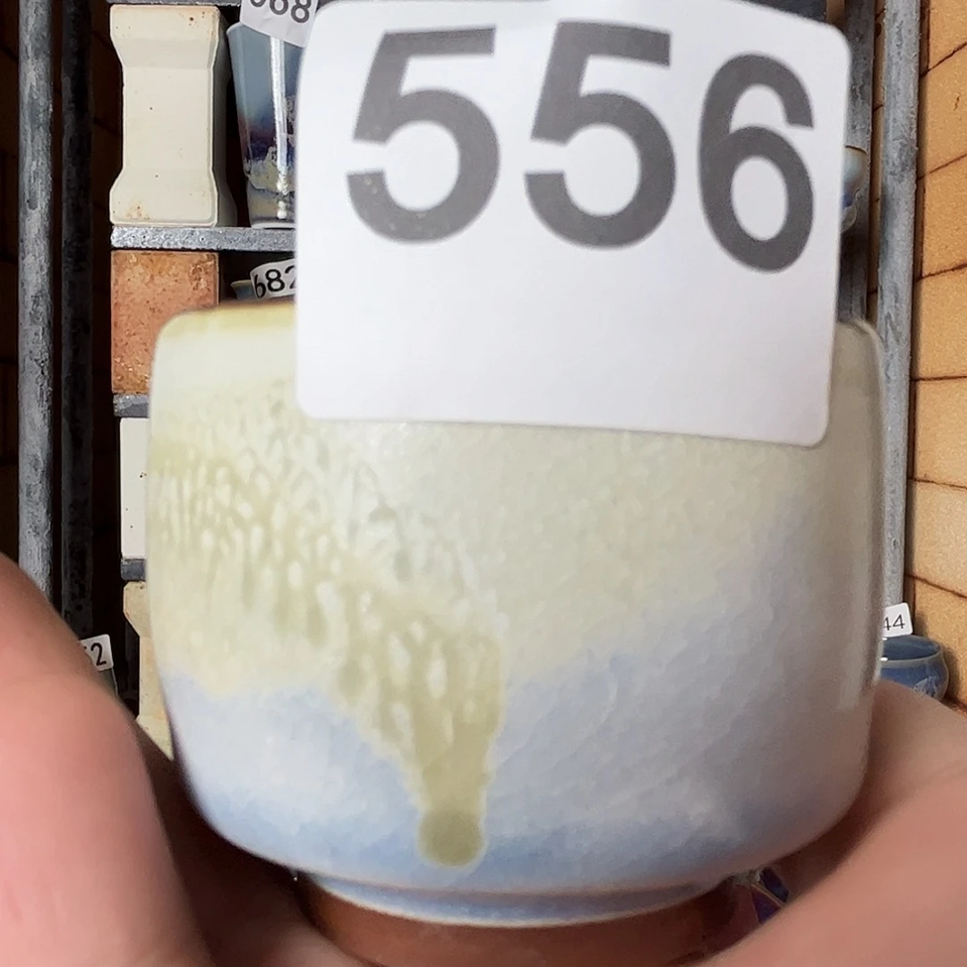 瓷片好的我真的是太喜欢556