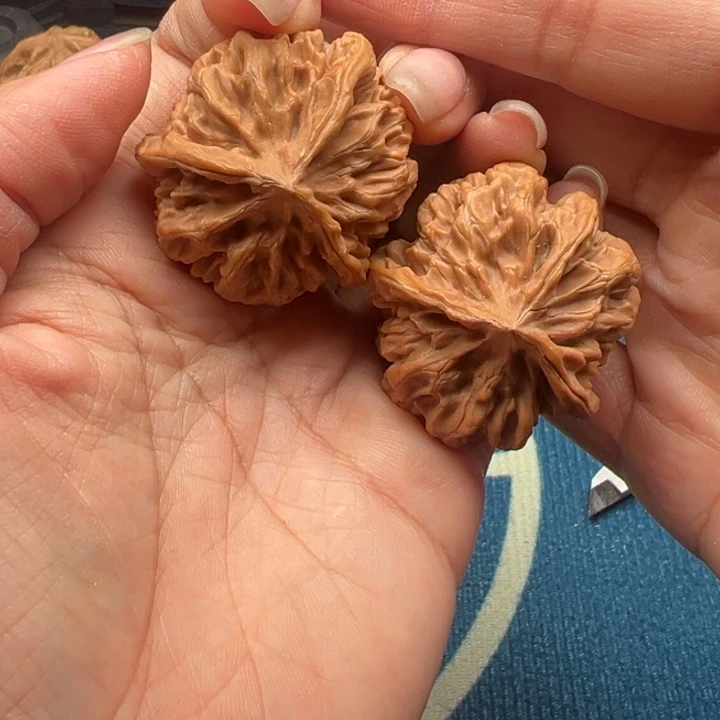 核桃文玩核桃三棱