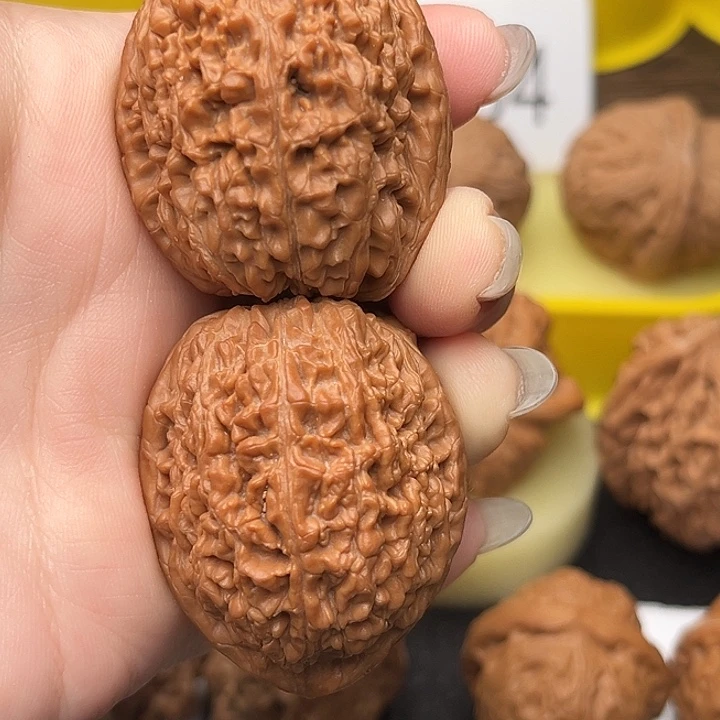 核桃35尺大蒜头2030