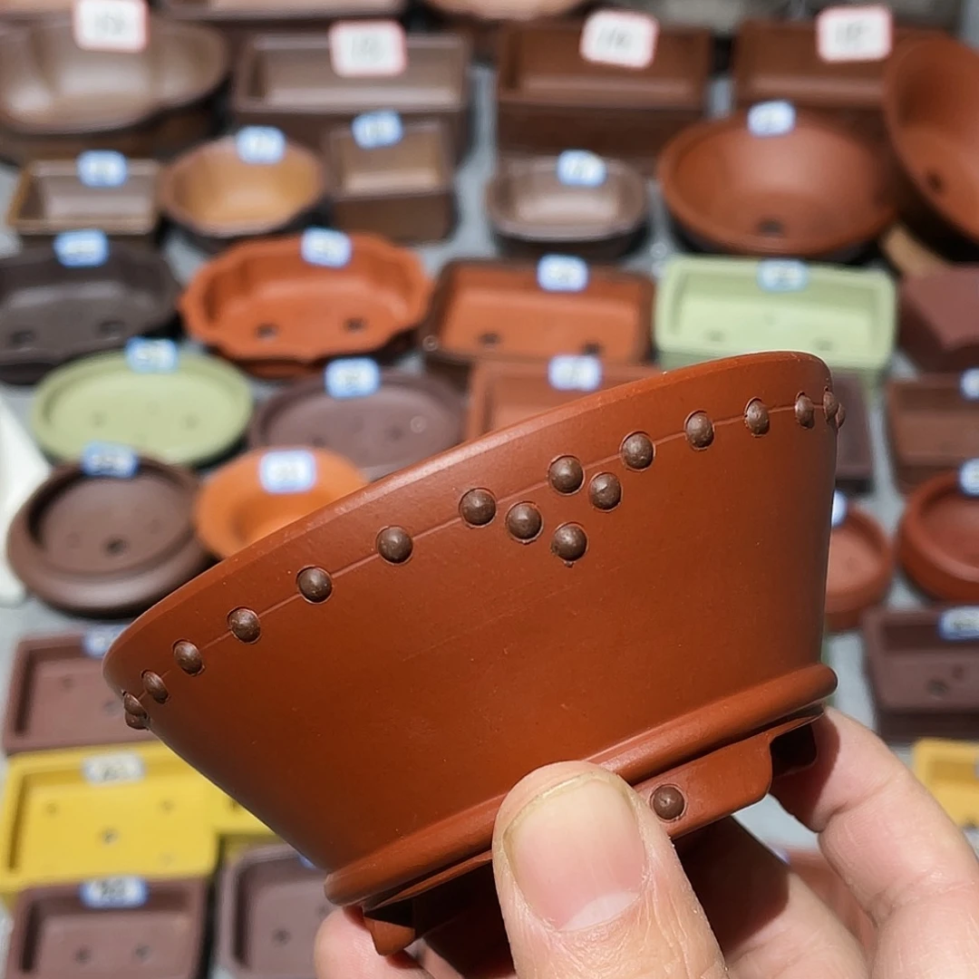 紫砂紫砂小盆10*4