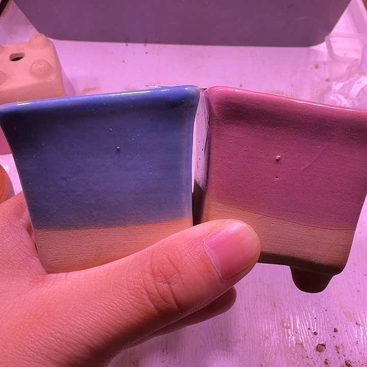 盆20，蓝色粉色小方，闲置处理不介意的拍！