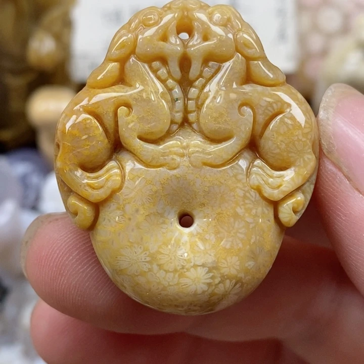颈饰未镶嵌硅化珊瑚（珊瑚玉）小