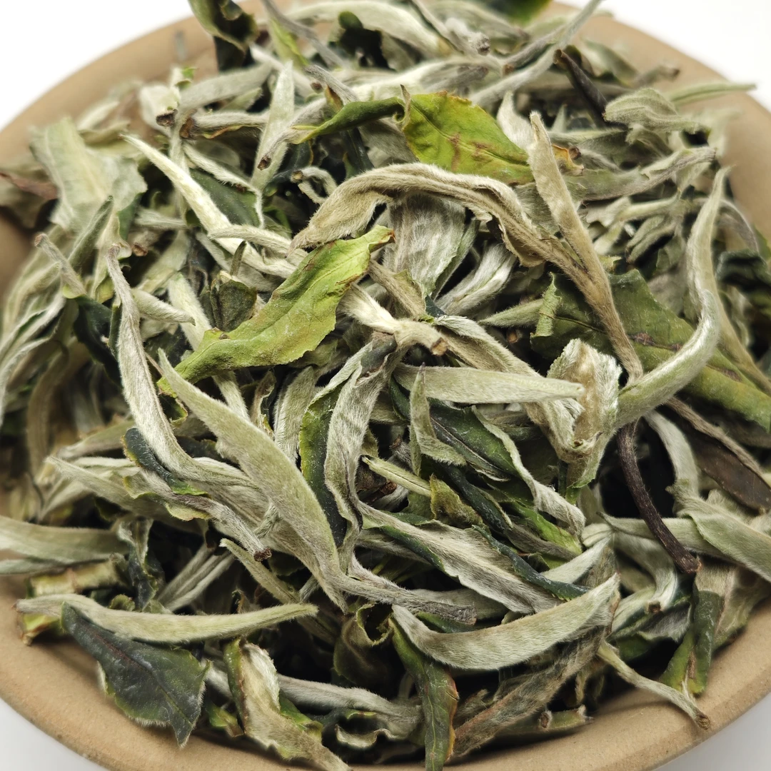 【龙哥私房茶】2025年月光白头春 白茶花香蜜香耐泡味足
