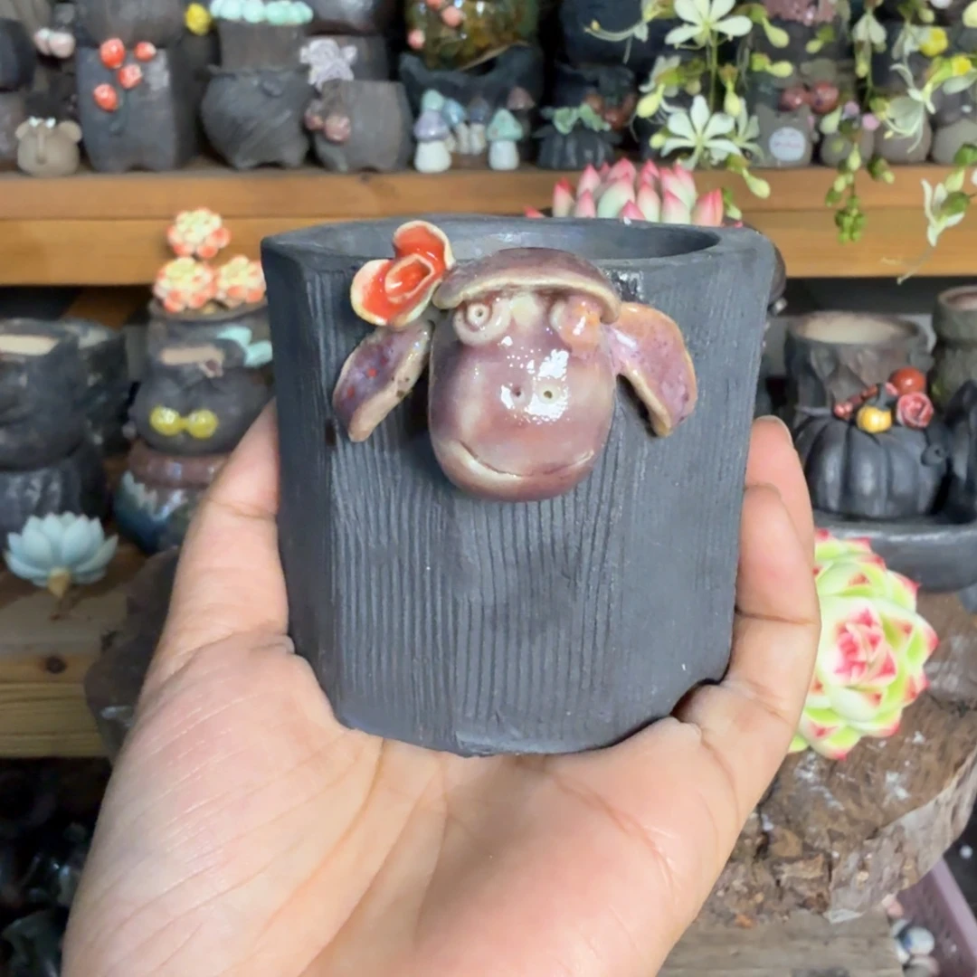 重庆小燕子欢迎大家