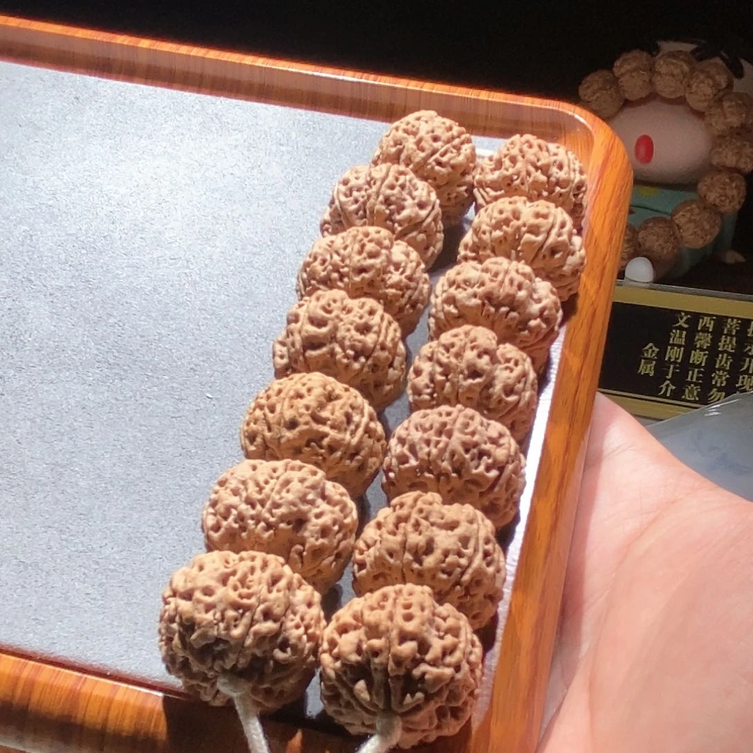 金刚菩提吊坠私人订制孤品六瓣1500mm