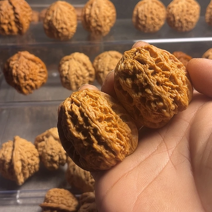 文玩核桃吊坠41将军…………