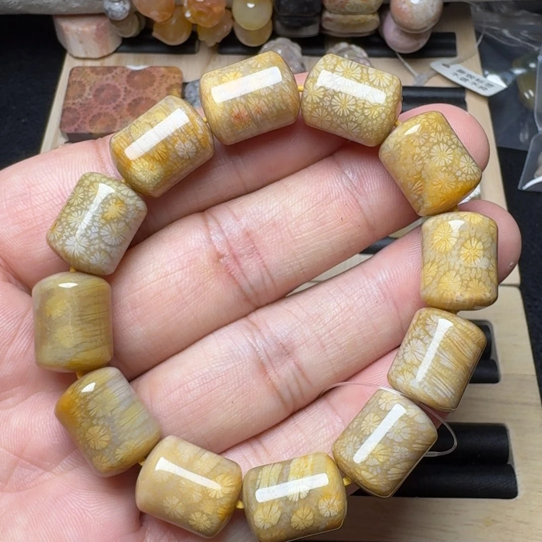 硅化珊瑚（珊瑚玉）未镶嵌纯天然色有机玉石保真色