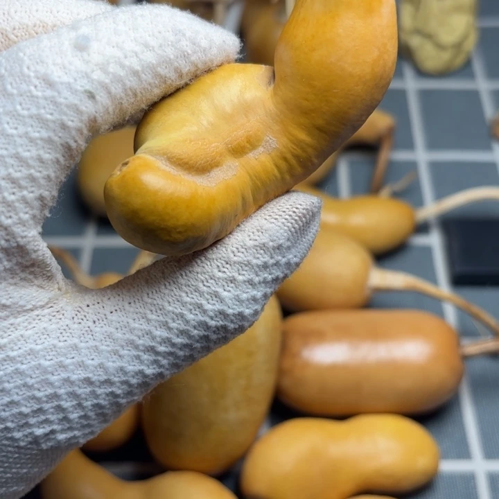 心***安橘皮裂666666666666