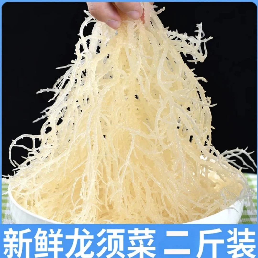 正宗龙须菜鹿角菜半干盐渍马尾藻海发菜海藻新鲜营养头茬凉拌菜