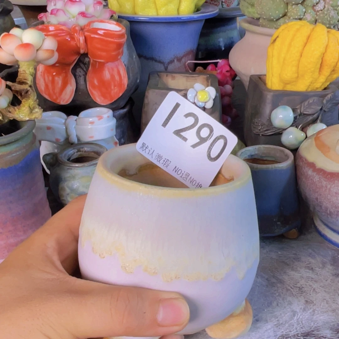重庆小燕子欢迎大家290