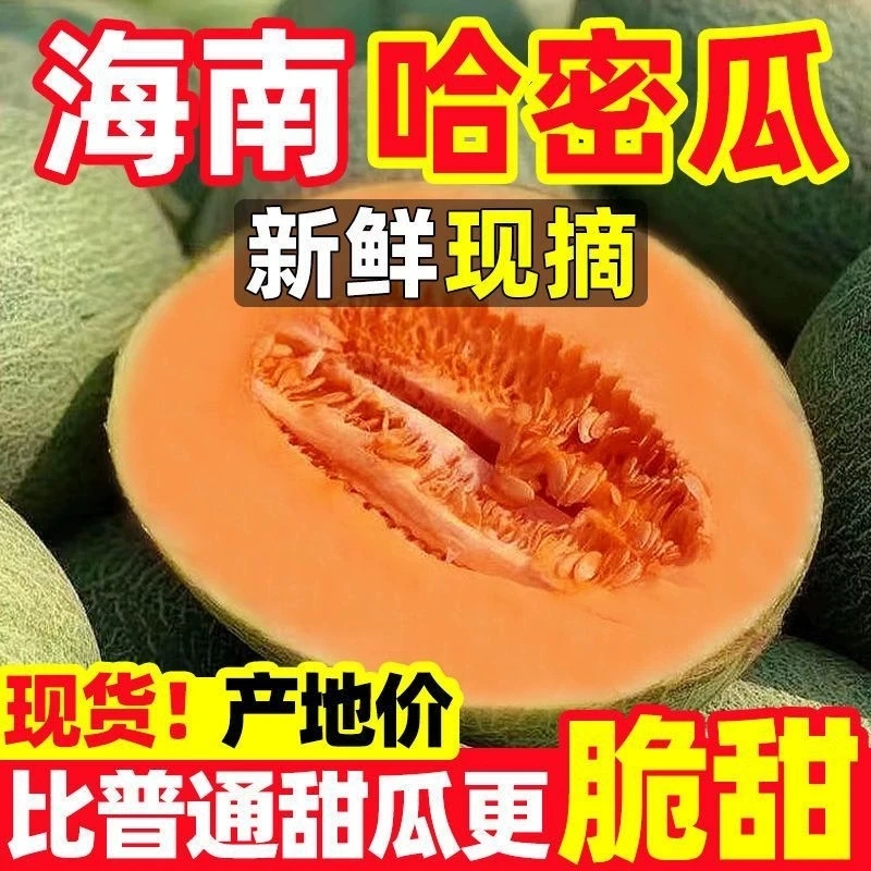 Z正宗海南哈密瓜新鲜水果当季脆甜网纹瓜老汉瓜整箱