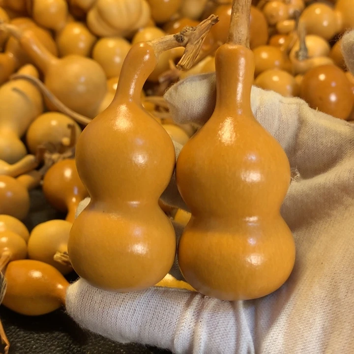 您可以选择不吃的零食哦哈哦