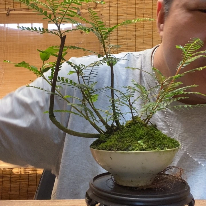 喵***?一物一拍所见即所得320