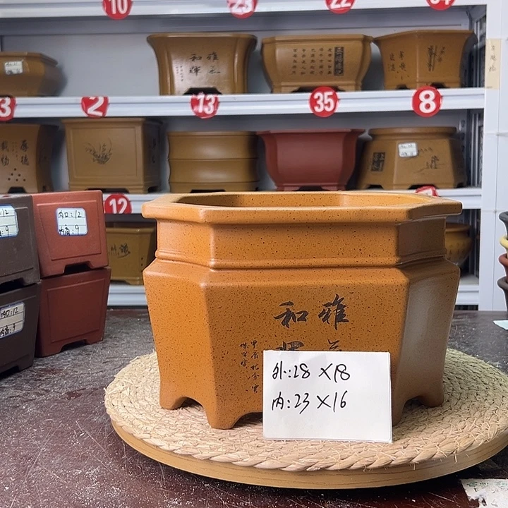 紫砂花盆蛇年大吉