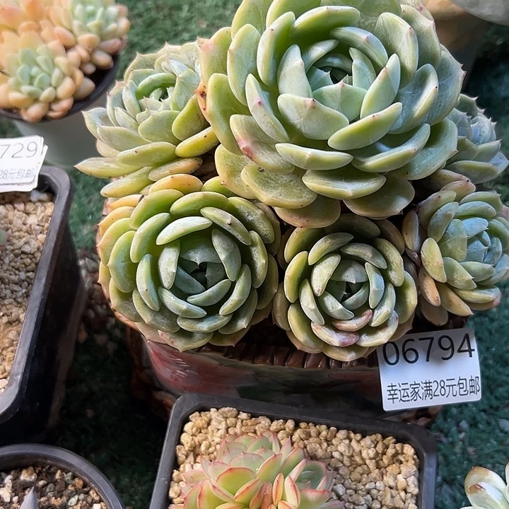 幸运的是我还没遇到过