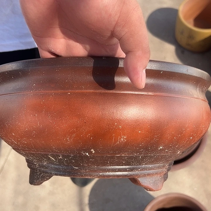 紫砂花盆口口25 11