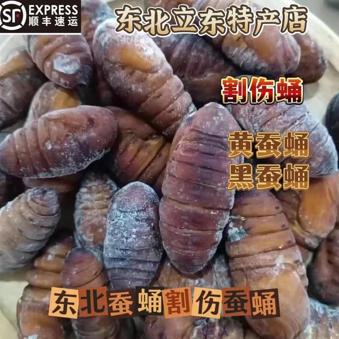 东北特产伤蛹黄蛹黑蛹就是割伤的蛹蚕蛹焯水速冻野生蚕蛹顺丰包邮