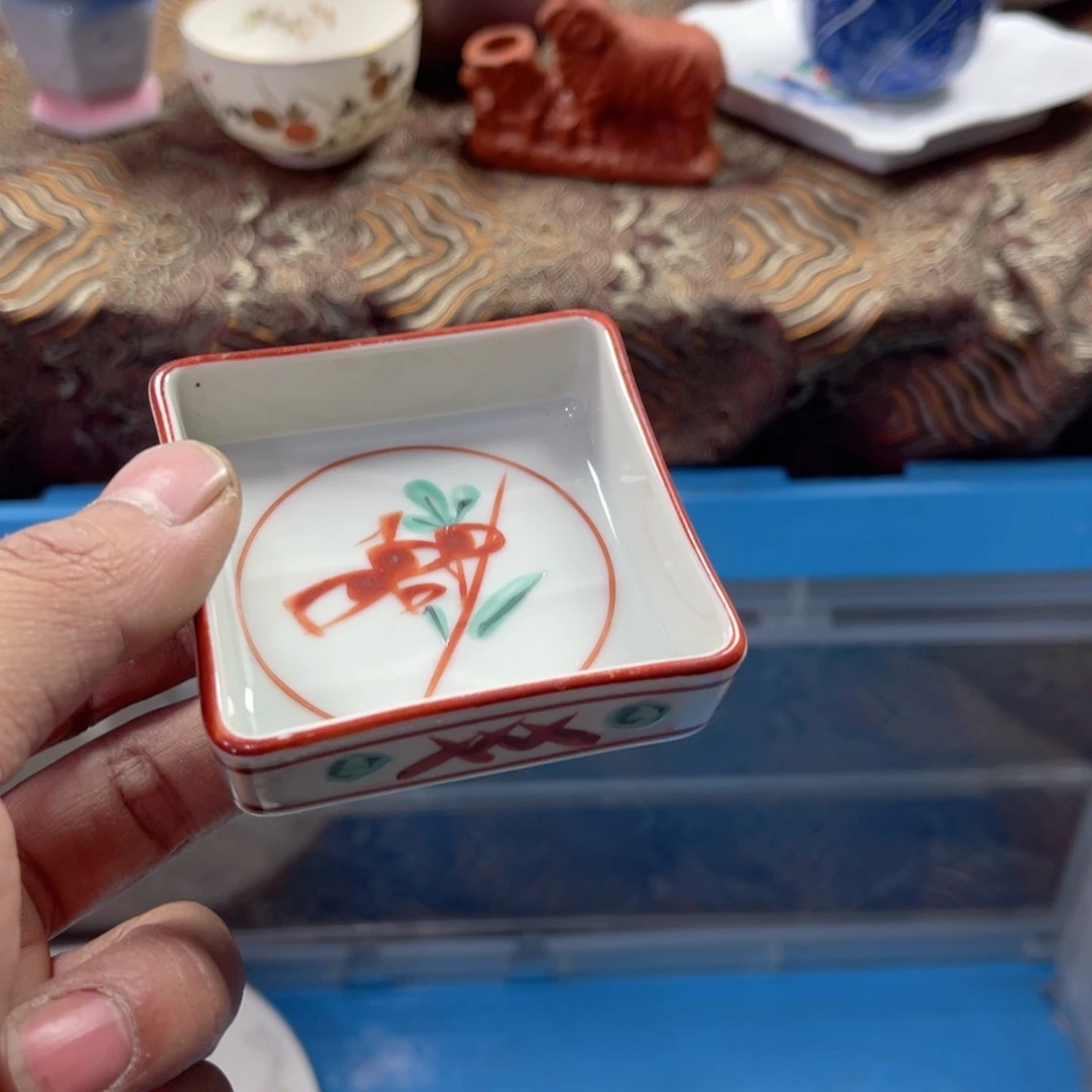 瓷片兰*aaaaaaaaaaa169