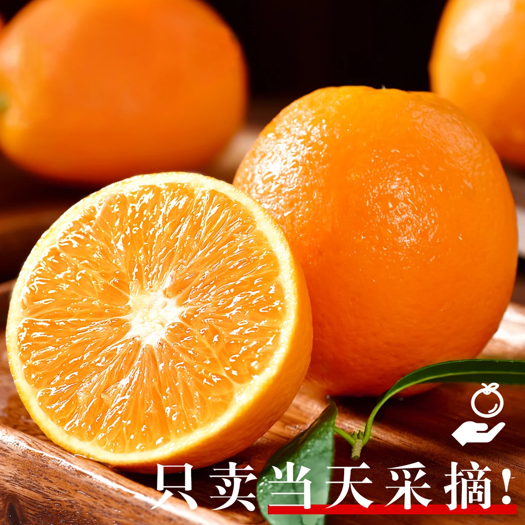 【次日达】k高山脐橙新鲜当季水果橙子妞荷尔现摘甜橙手剥橙湖北省
