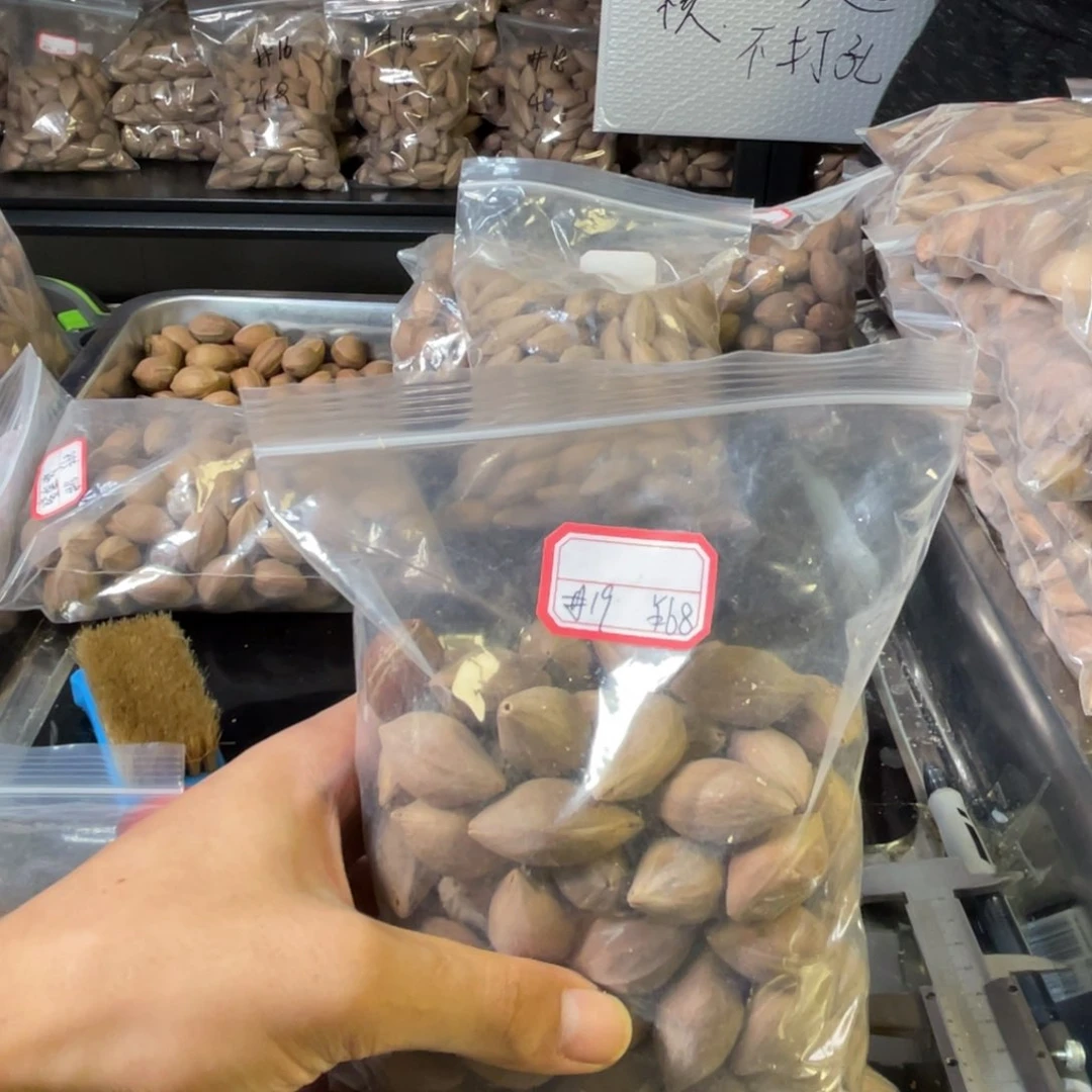 吊坠龙脊菩提亦*1