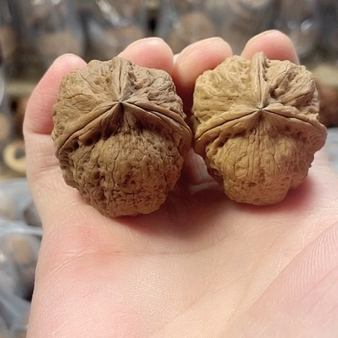 文玩核桃把件霸王鼎带彩37