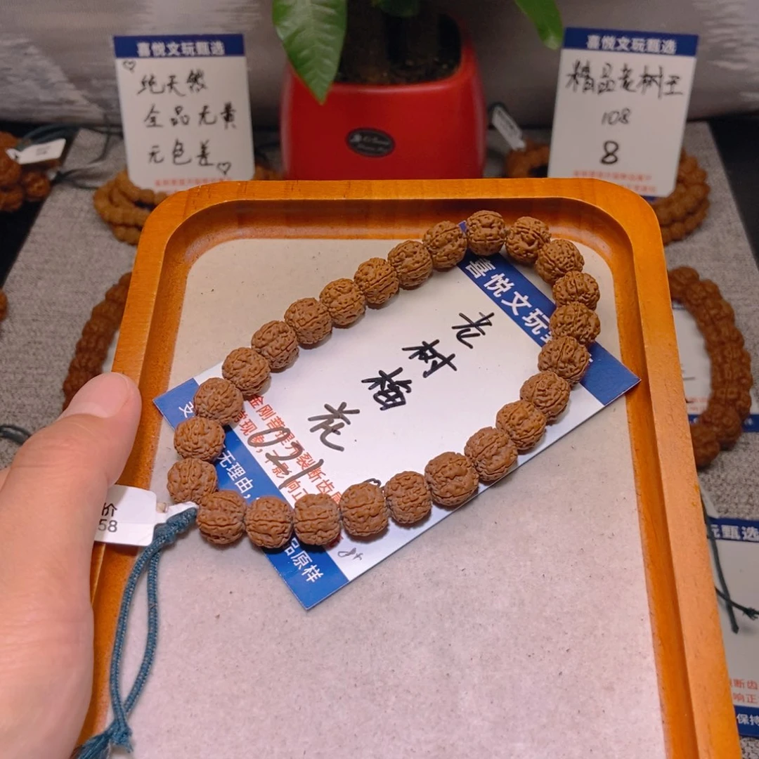 手串金刚菩提老树梅花11.021