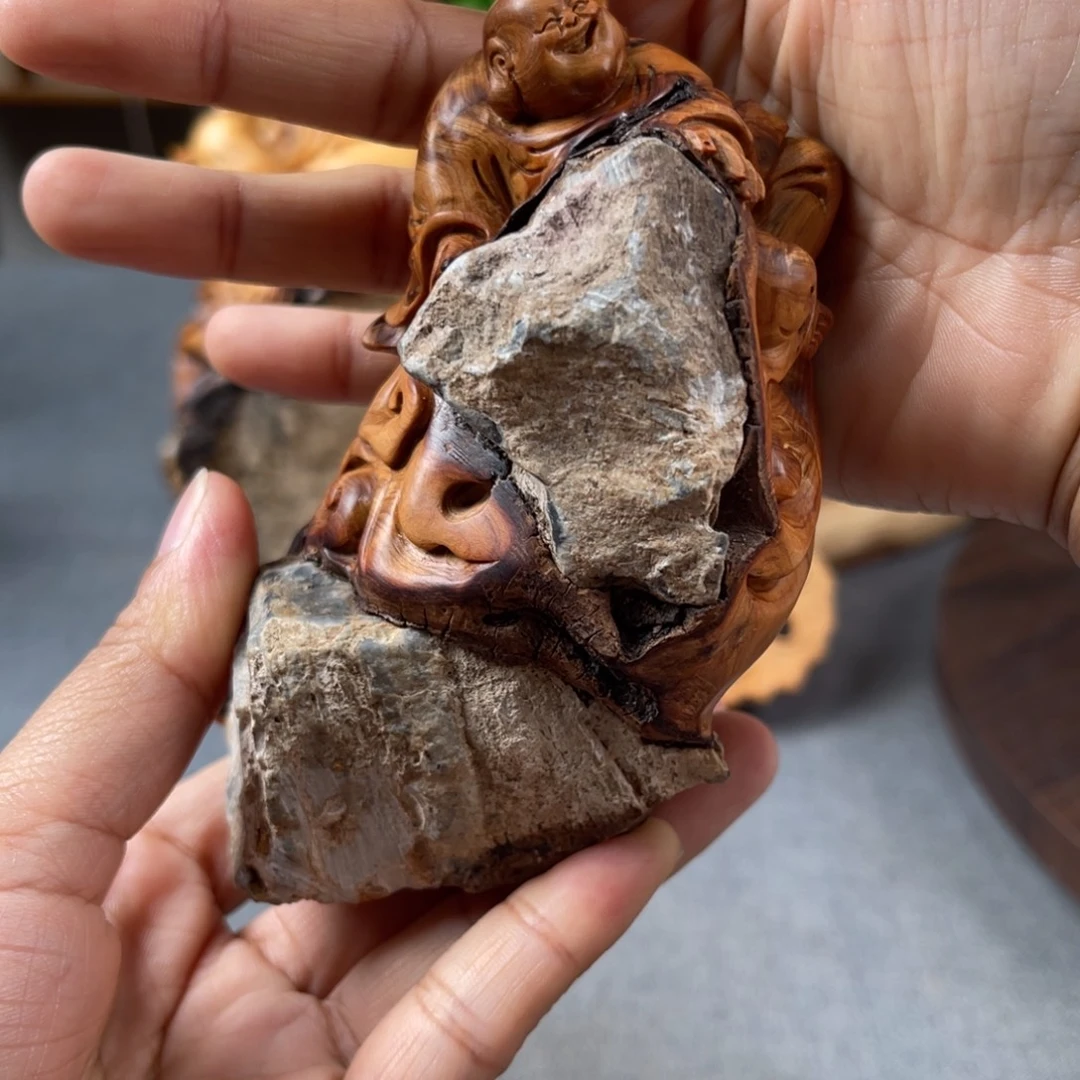 柏木（崖柏）崖柏太行山脉