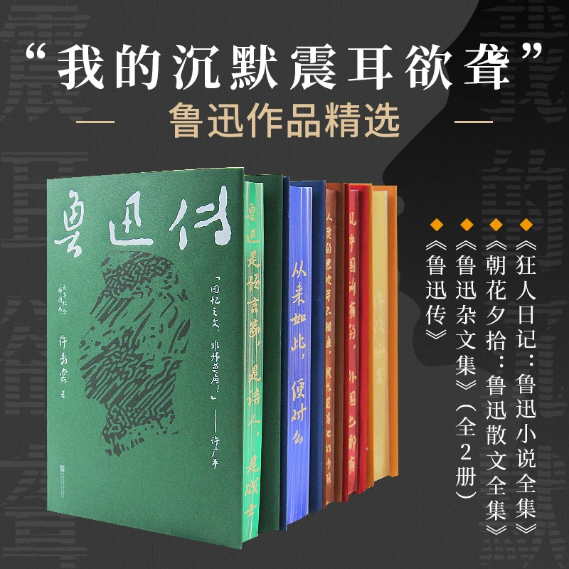 鲁迅精选作品集 鲁迅杂文集鲁迅文学作品经典课外读物与必读著作