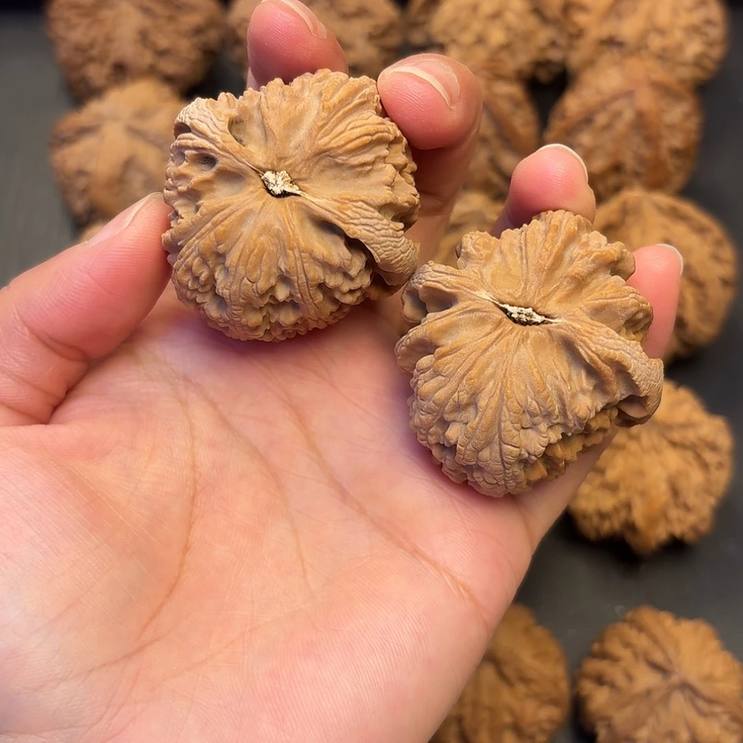 《***前核桃突突突突突突突突突突突