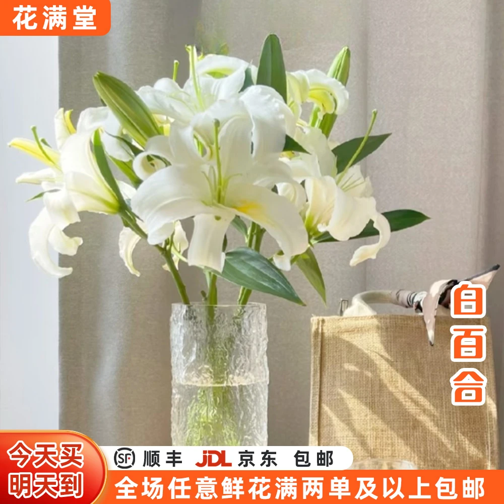 特价【次日达·白百合】白百合6-8头鲜切花·生活鲜花·全场两单鲜花顺丰包邮·基地直发·批发·白百合次日达