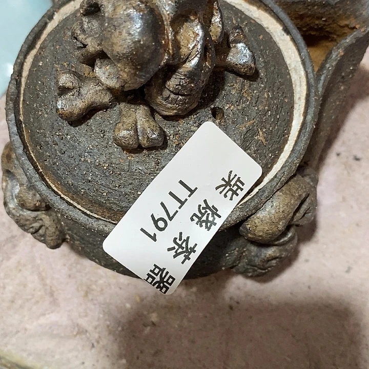 柴烧清货不退不换