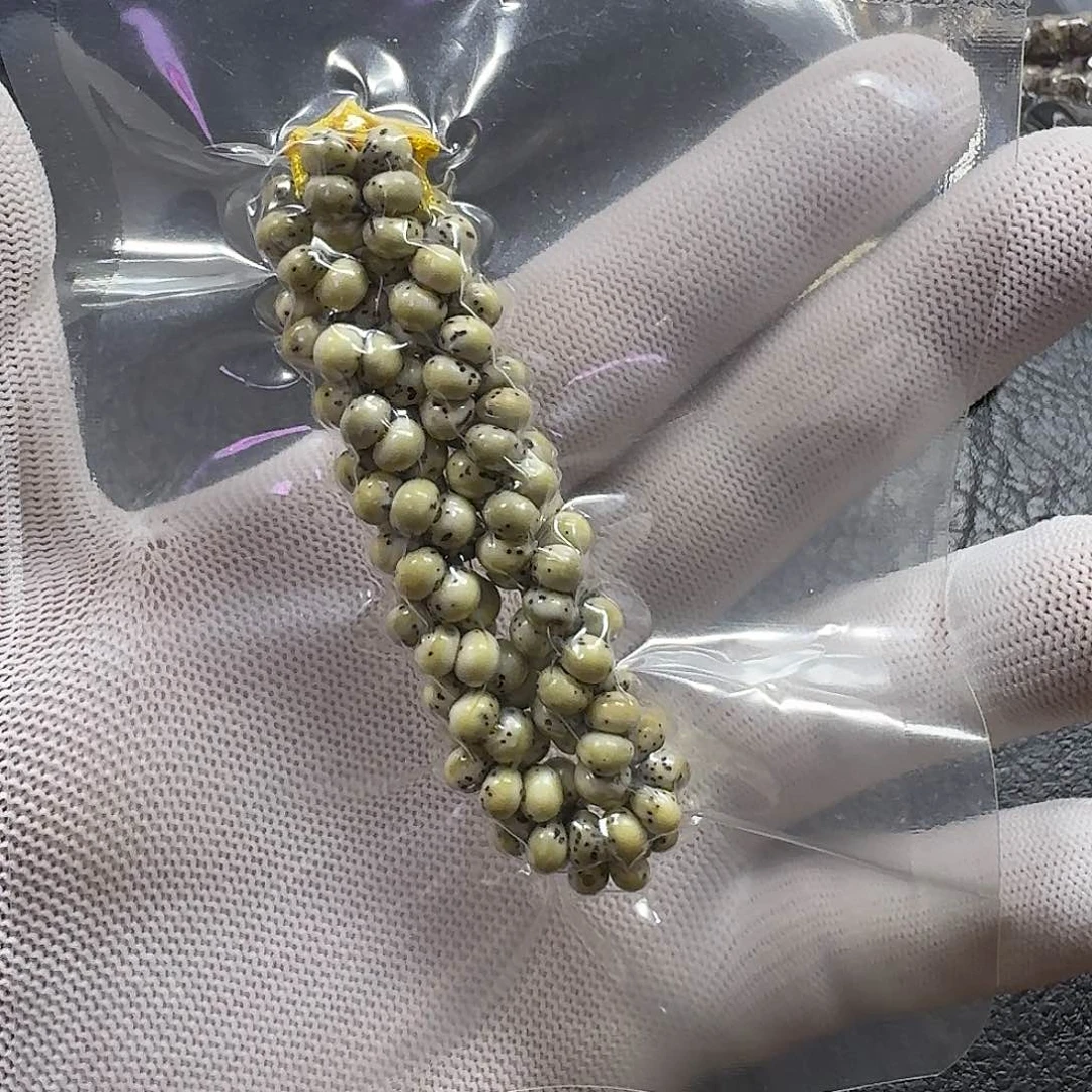 星月菩提手串莫****w6mm石玉料大留白蒜瓣大肠（轻微氧化