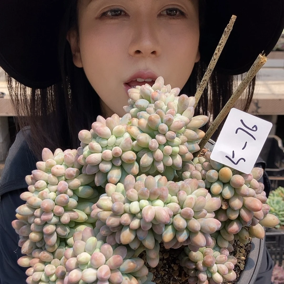 5-76 一物一拍直播间直播间为准寄养