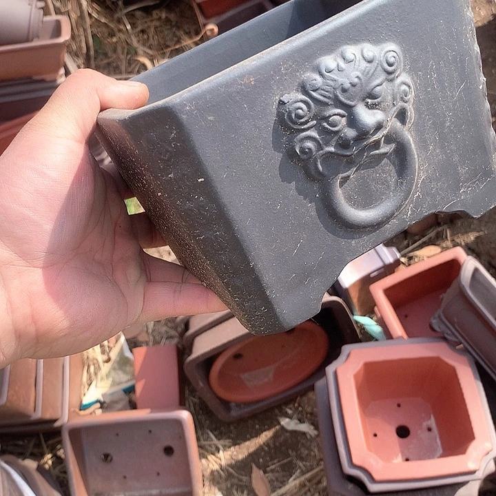 紫砂我要努力去实现了