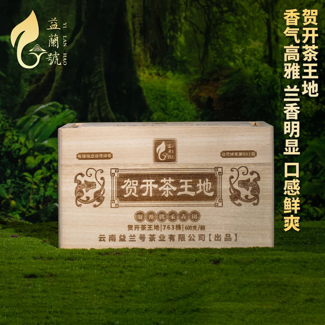 挑采贺开茶王地古树茶600克