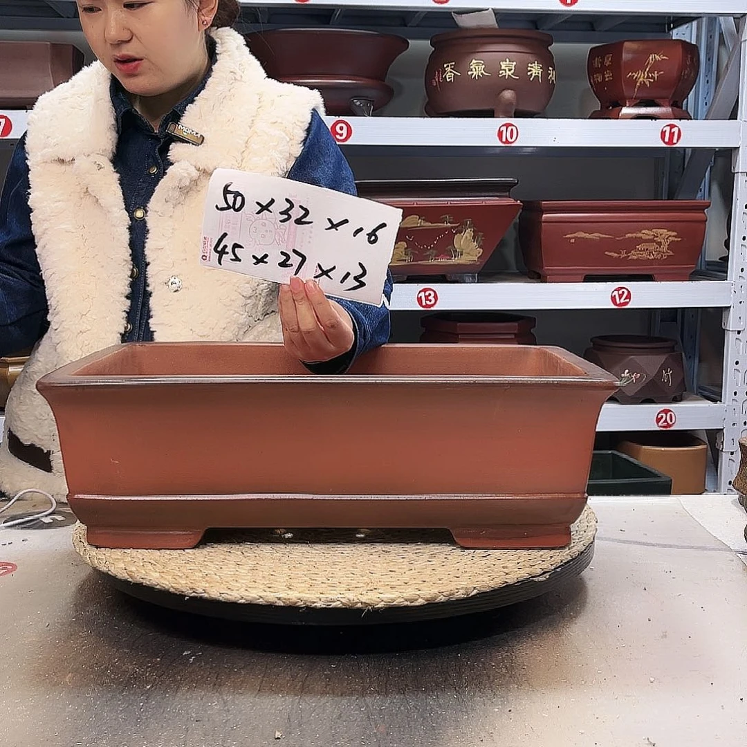 紫砂花盆紫砂花盆里